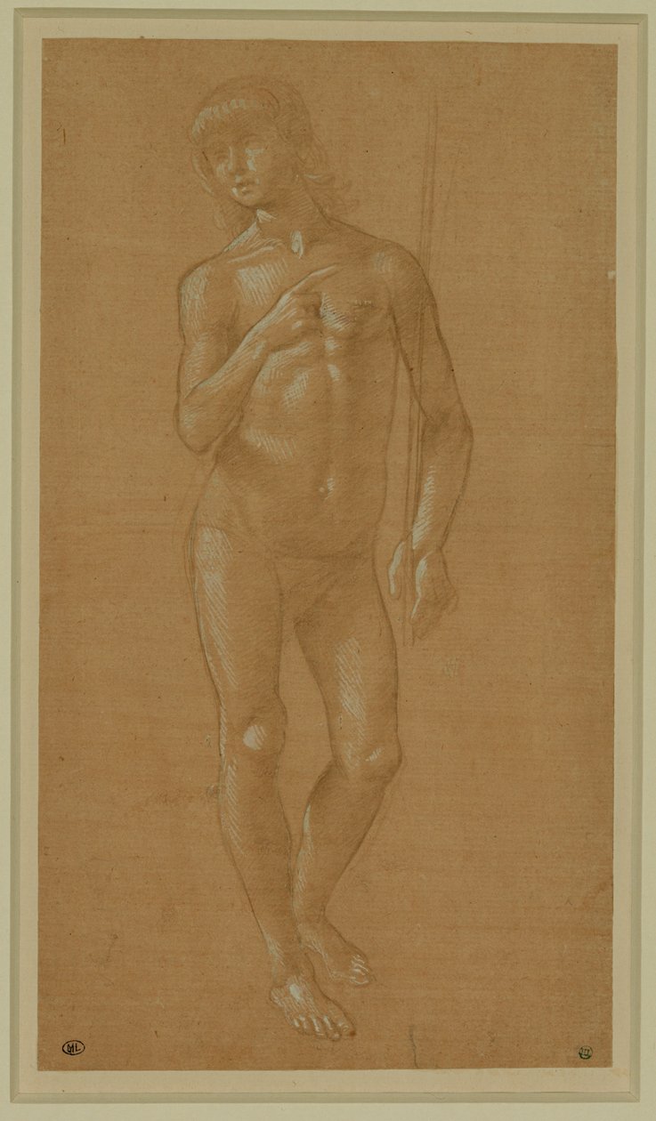 Joven desnudo, cara completa, sosteniendo un bastón Plumín de plata, realzado en blanco, papel rosa claro ... de Lorenzo di Credi