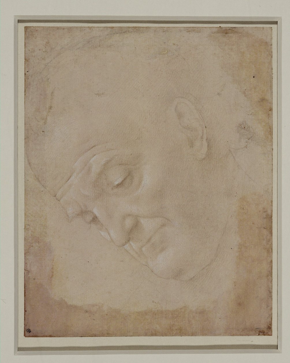 Retrato de un hombre calvo, girado tres cuartos hacia la izquierda ... de Lorenzo di Credi