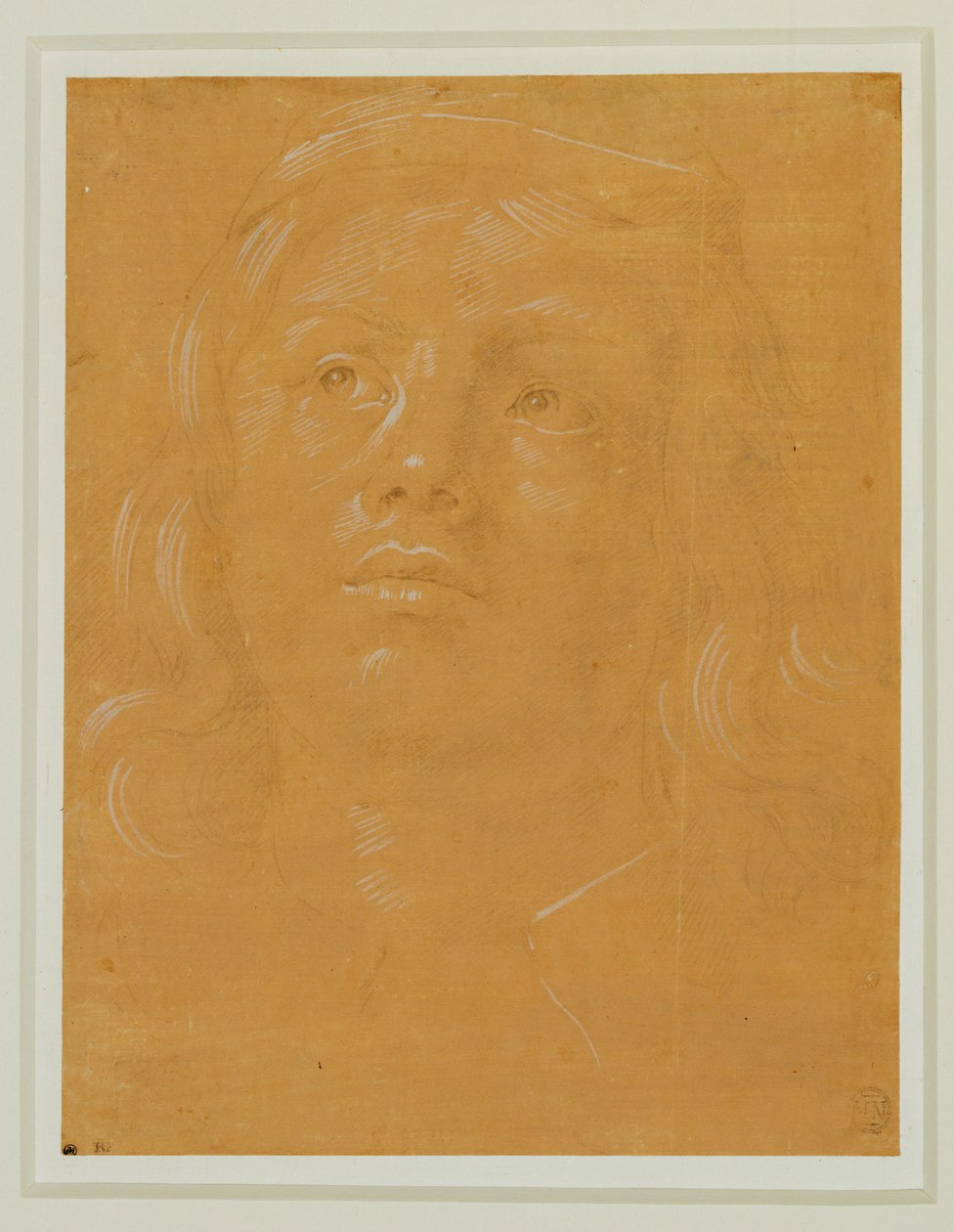 Retrato de un joven, de cara, mirando hacia arriba ... de Lorenzo di Credi