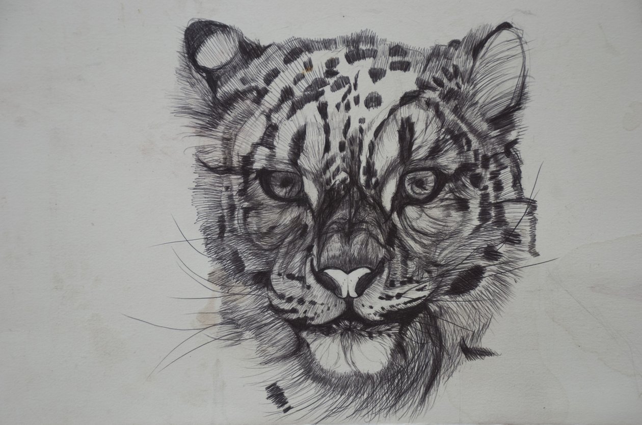 Leopardo de las nieves de Lou Gibbs