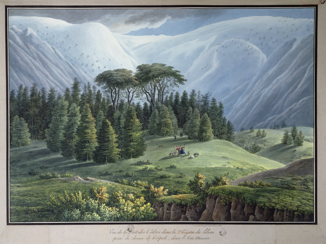 Vista de los Bosques de Cedros del Líbano vistos desde el Camino de Trípoli, c.1800 de Louis Francois Cassas