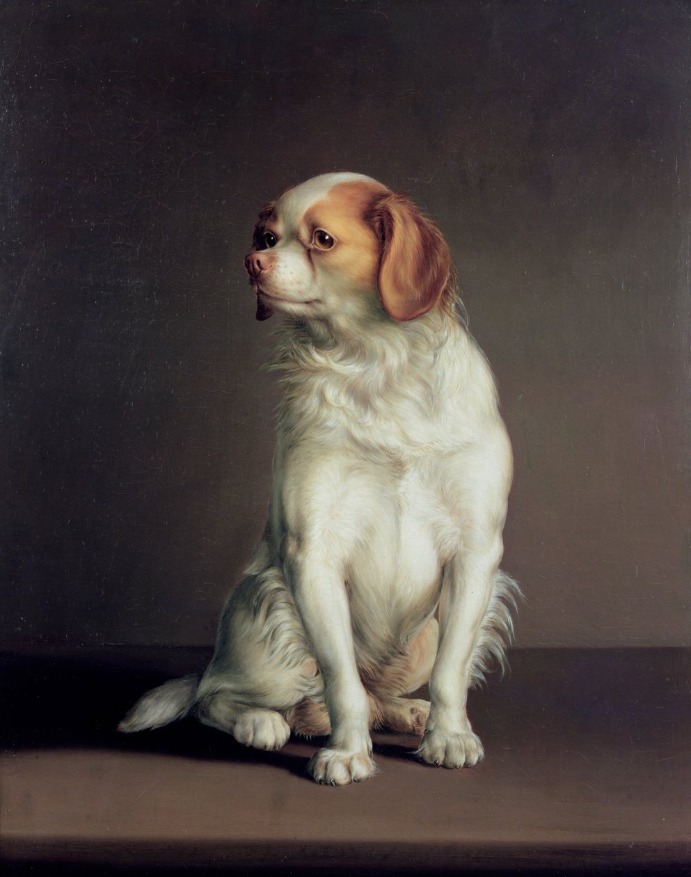 Retrato de un Spaniel King Charles de Louis Leopold Boilly