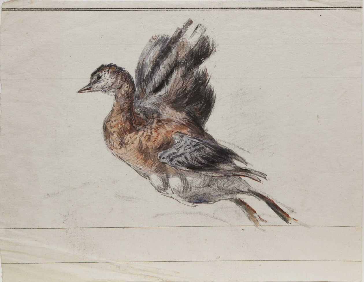 Dibujo de Louis Marie Faudacq
