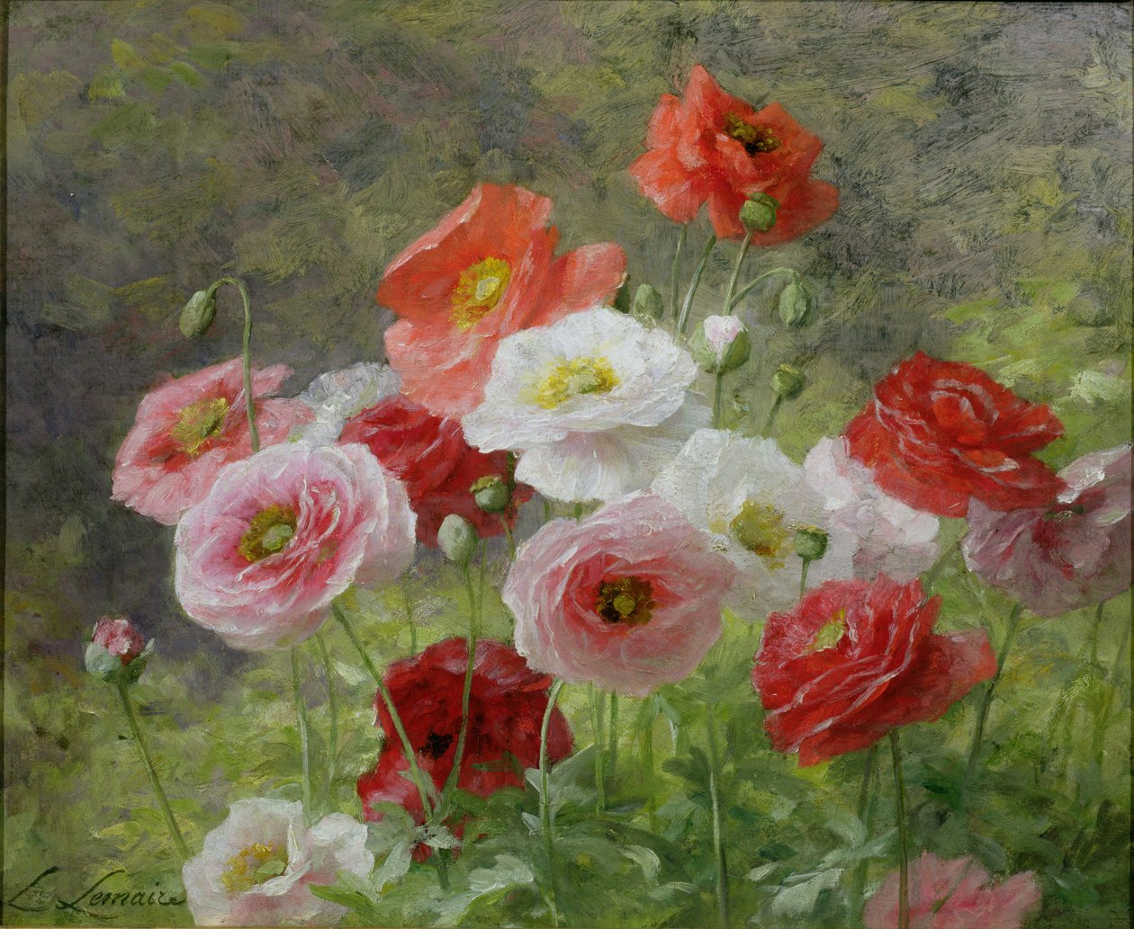 Racimo de amapolas, 1884 de Louis Marie Lemaire