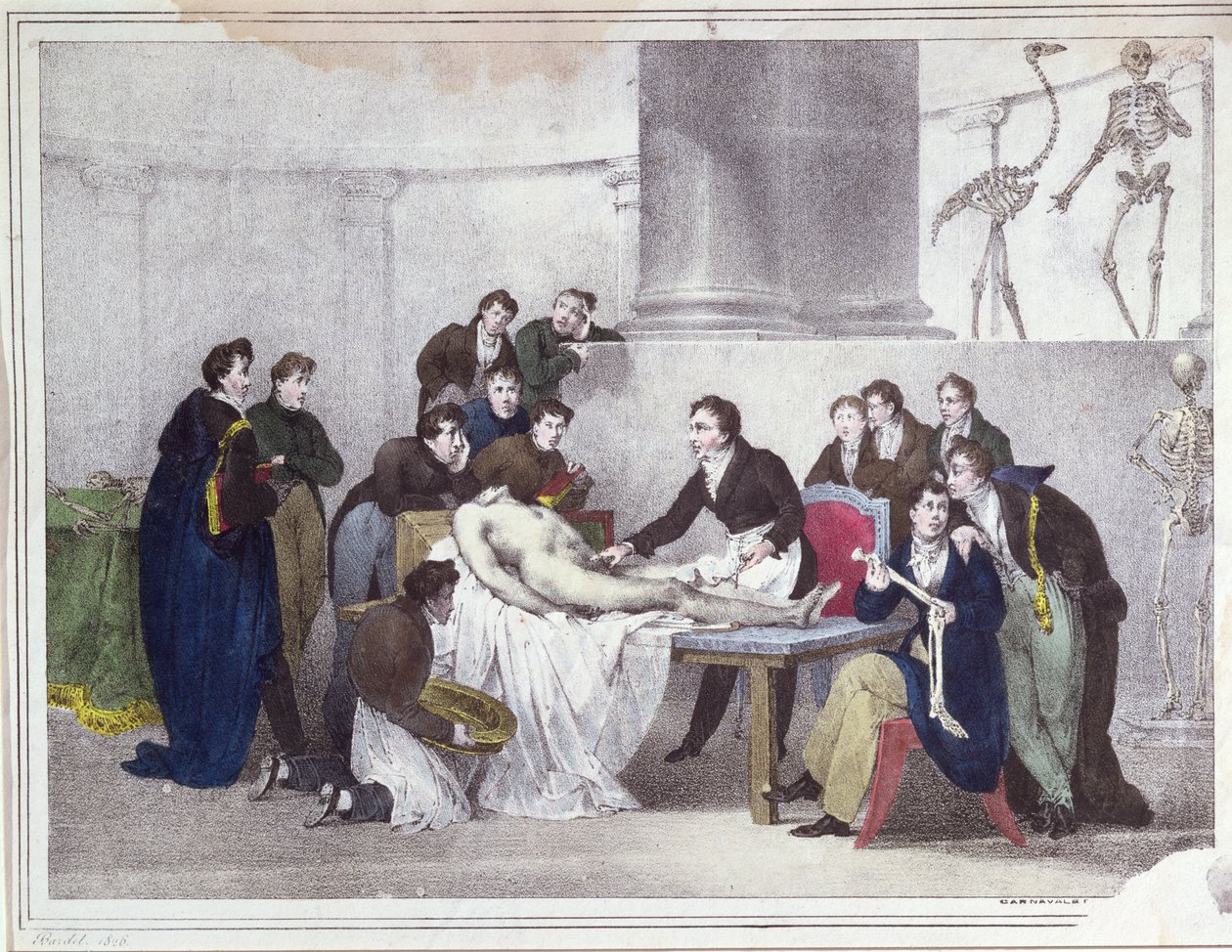 La lección de anatomía, 1826 de Louis Thomas Bardel