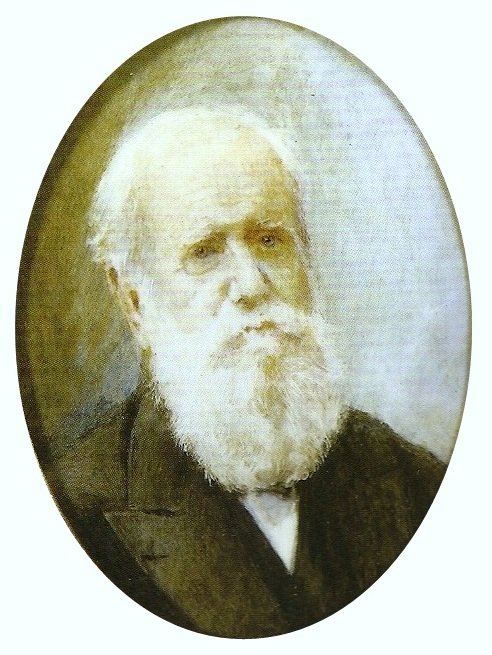 Pedro II de Brasil de Louis Robert de Cuvillon
