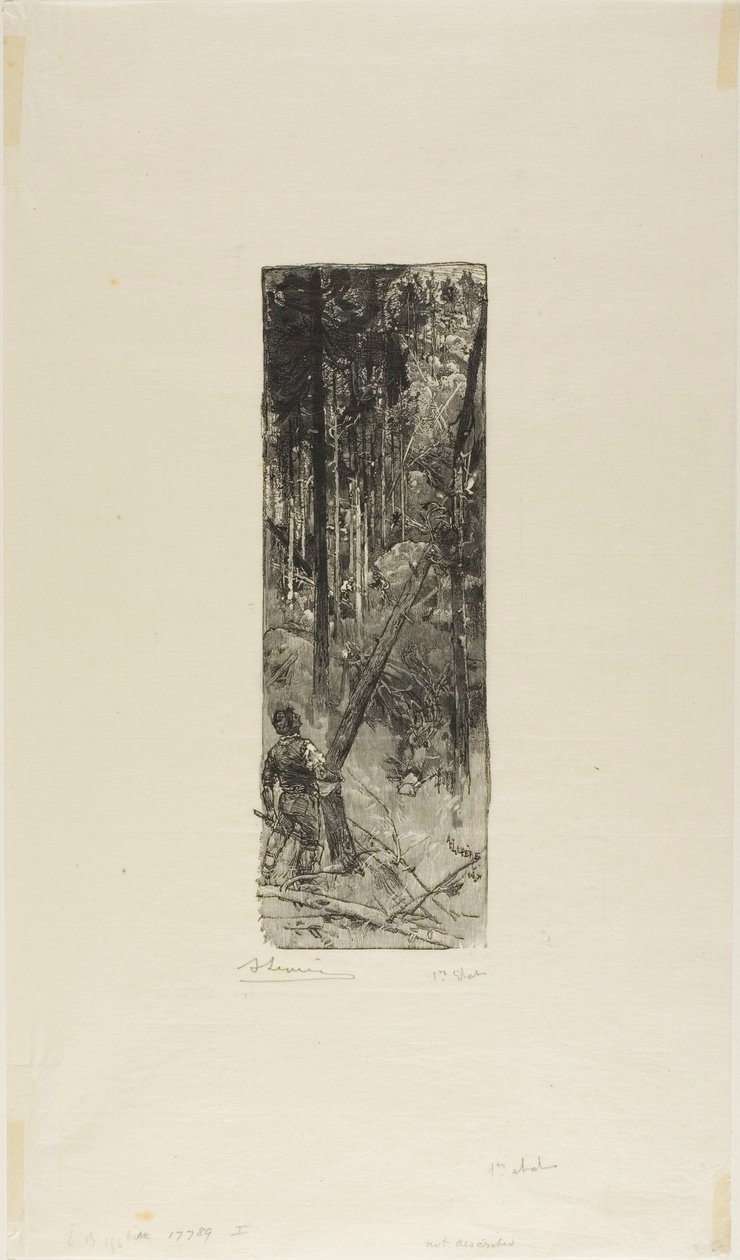 Pinos caídos de Louis Auguste Lepère