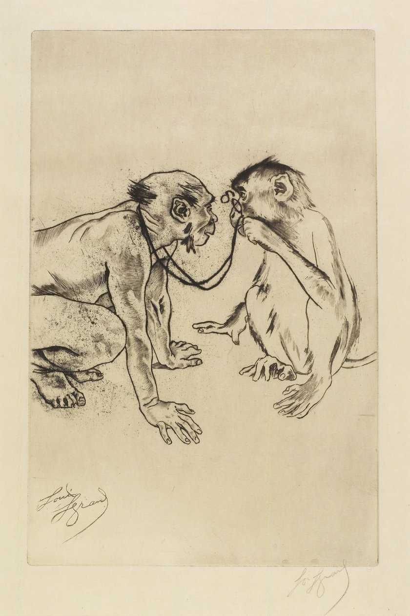 Anatomía comparada de Louis Auguste Mathieu Legrand