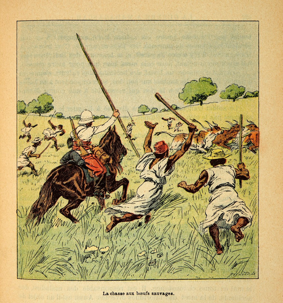 La guerra en Madagascar-Historia anecdótica de las expediciones francesas de 1885-1895 por Henri Galli, ilustrado por Louis Bombled: La caza de bueyes salvajes en Madagascar en 1895, Colección privada de Louis Charles Bombled