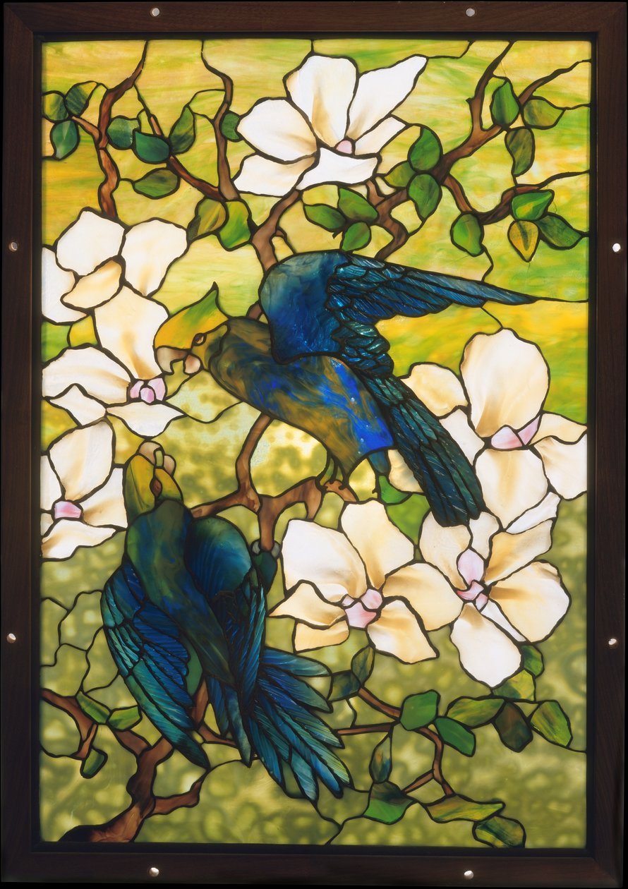 Hibiscos y Loros, c.1910-20 de Louis Comfort Tiffany
