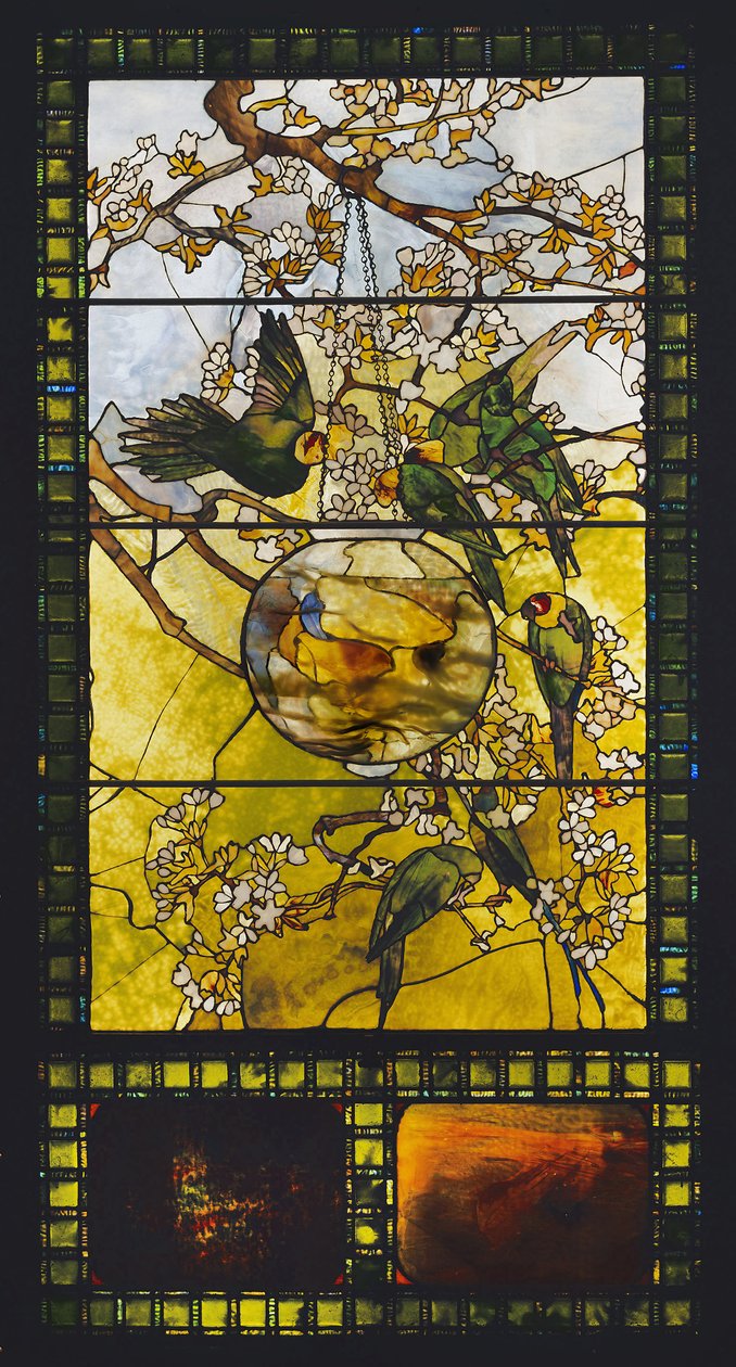 Periquitos y pecera, c.1893 de Louis Comfort Tiffany
