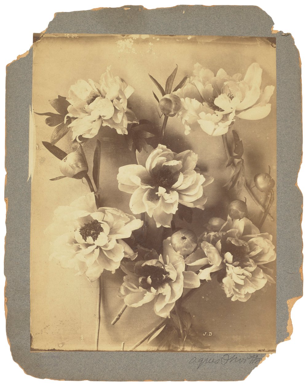 Estudios Tiffany, c.1898-1920 (fotografía b/n) de Louis Comfort Tiffany