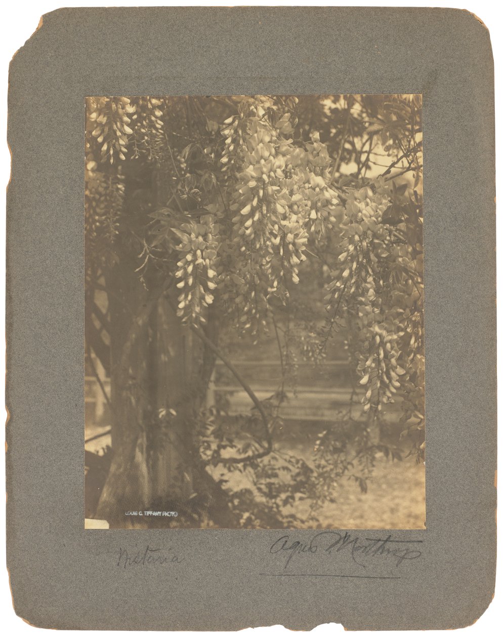 Estudios Tiffany, c.1898-1920 (fotografía b/n) de Louis Comfort Tiffany