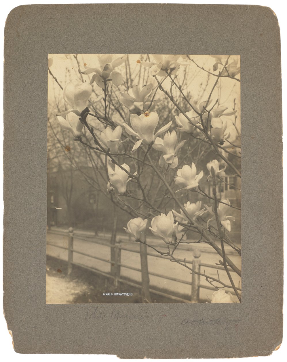 Estudios Tiffany, c.1898-1920 (fotografía b/n) de Louis Comfort Tiffany