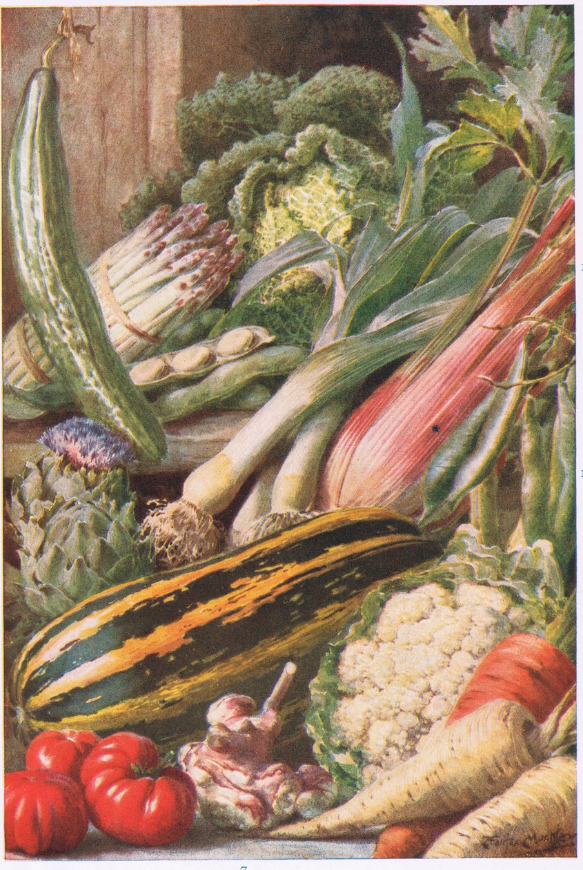 Verduras de la huerta, ilustración de 