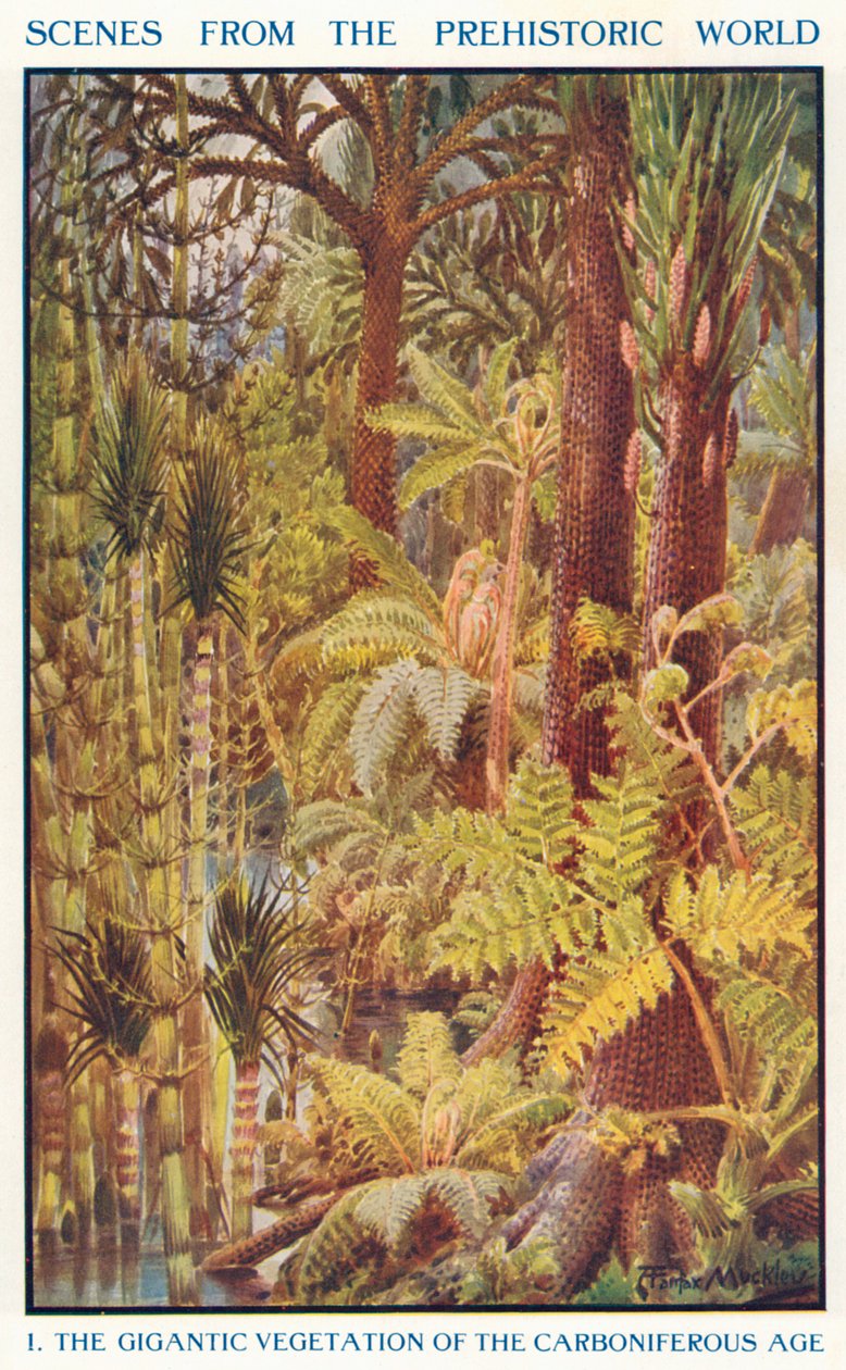 La gigantesca vegetación del Carbonífero (litografía en color) de Louis Fairfax Muckley