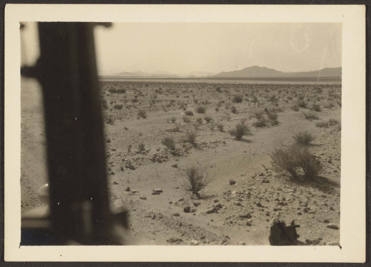 [Plantas del desierto de Amargosa] de Louis Fleckenstein