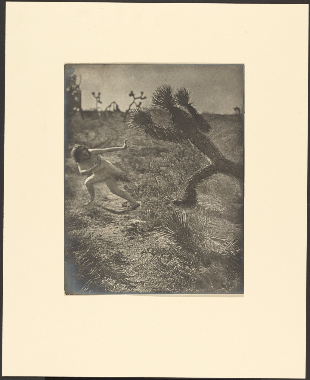 Bogey Man del desierto de Louis Fleckenstein