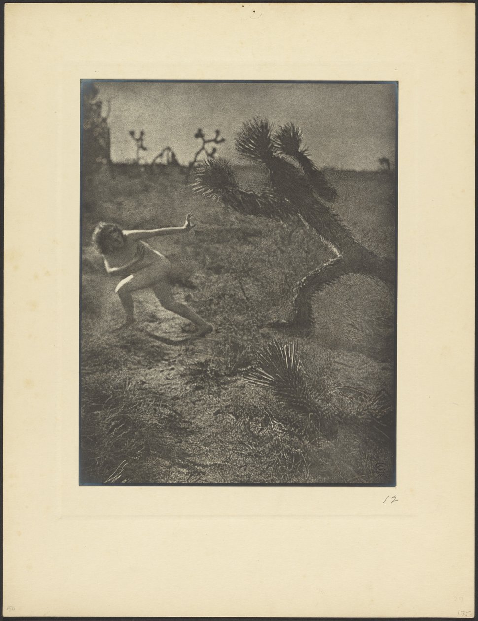 Bogey Man del desierto de Louis Fleckenstein