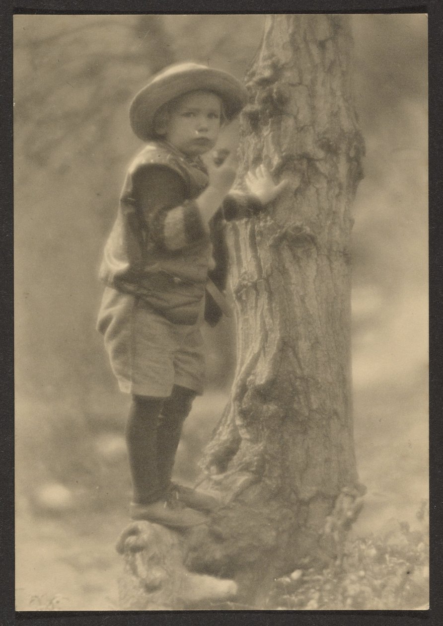 [Niño de pie sobre la raíz de un árbol] de Louis Fleckenstein