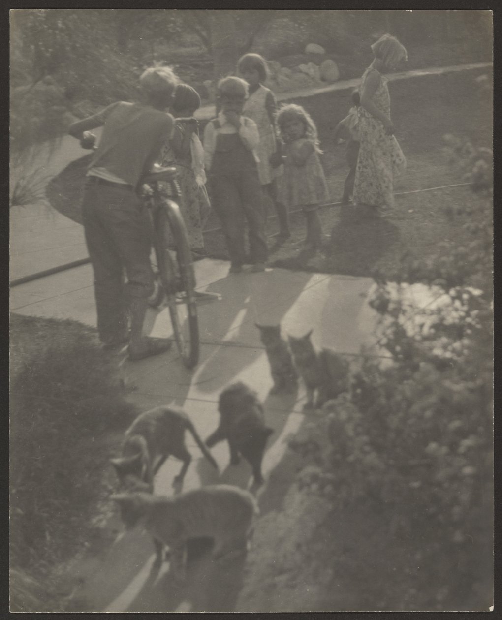 [Niños y gatos] de Louis Fleckenstein