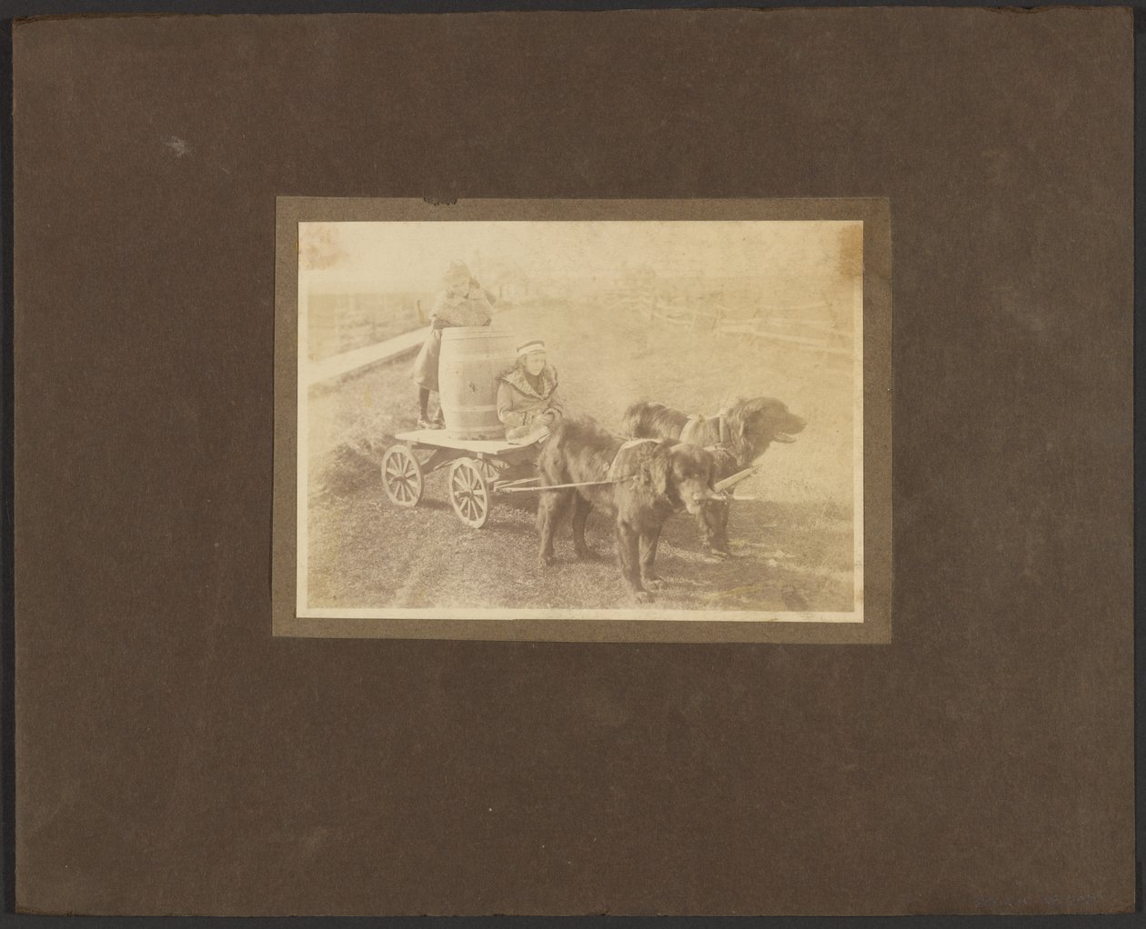 [Niños en un carro tirado por perros] de Louis Fleckenstein