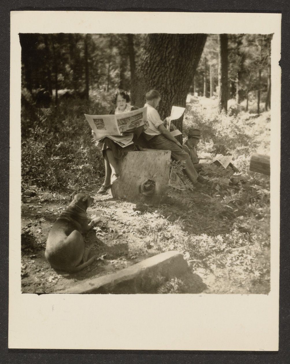 [Pareja leyendo el periódico en el bosque] de Louis Fleckenstein
