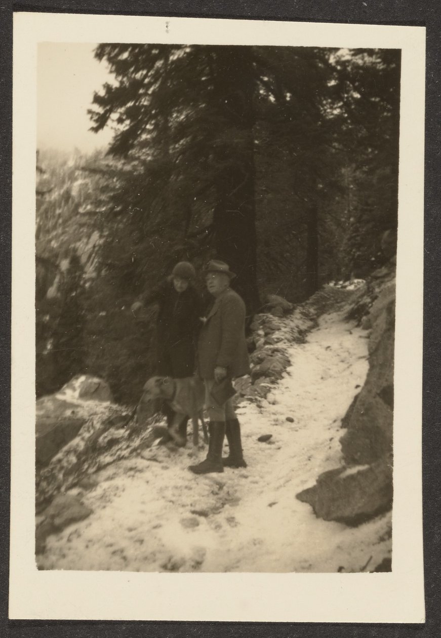 [Pareja con perro en la nieve] de Louis Fleckenstein
