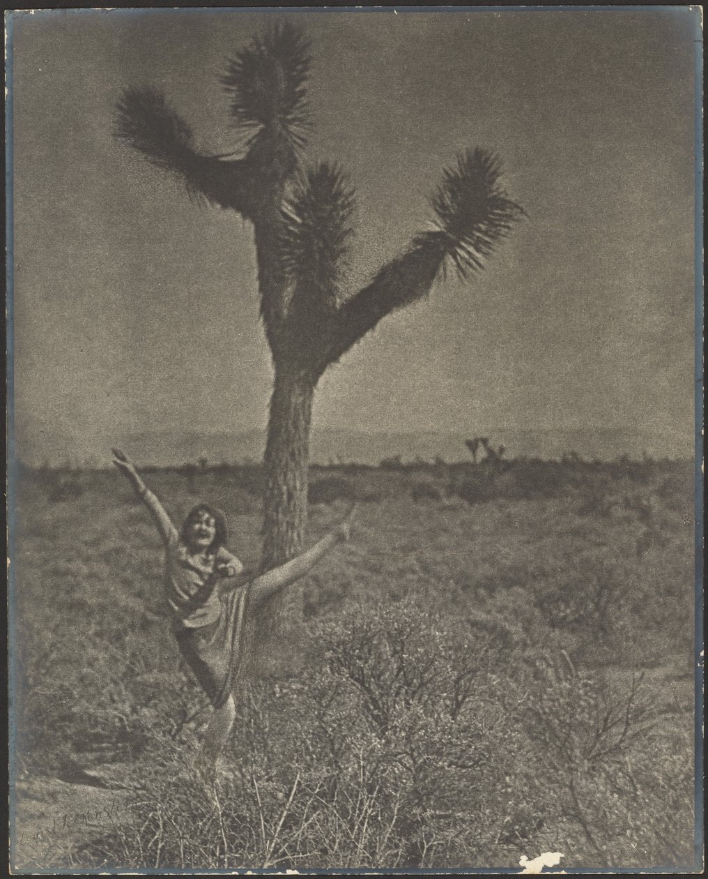 [Bailarina en Joshua Tree] de Louis Fleckenstein