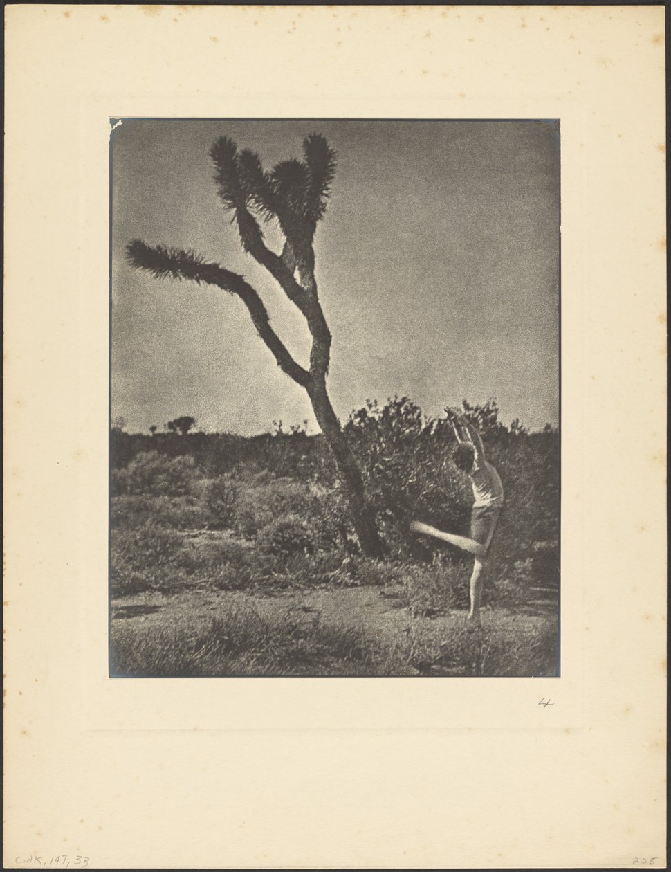[Bailarina en Joshua Tree] de Louis Fleckenstein
