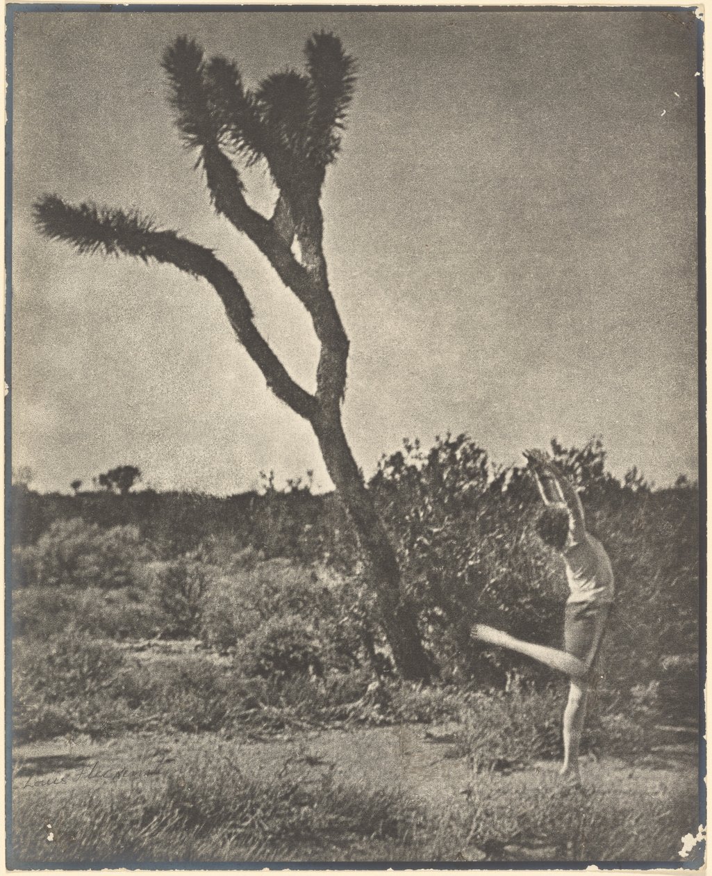 [Bailarín en Joshua Tree] de Louis Fleckenstein