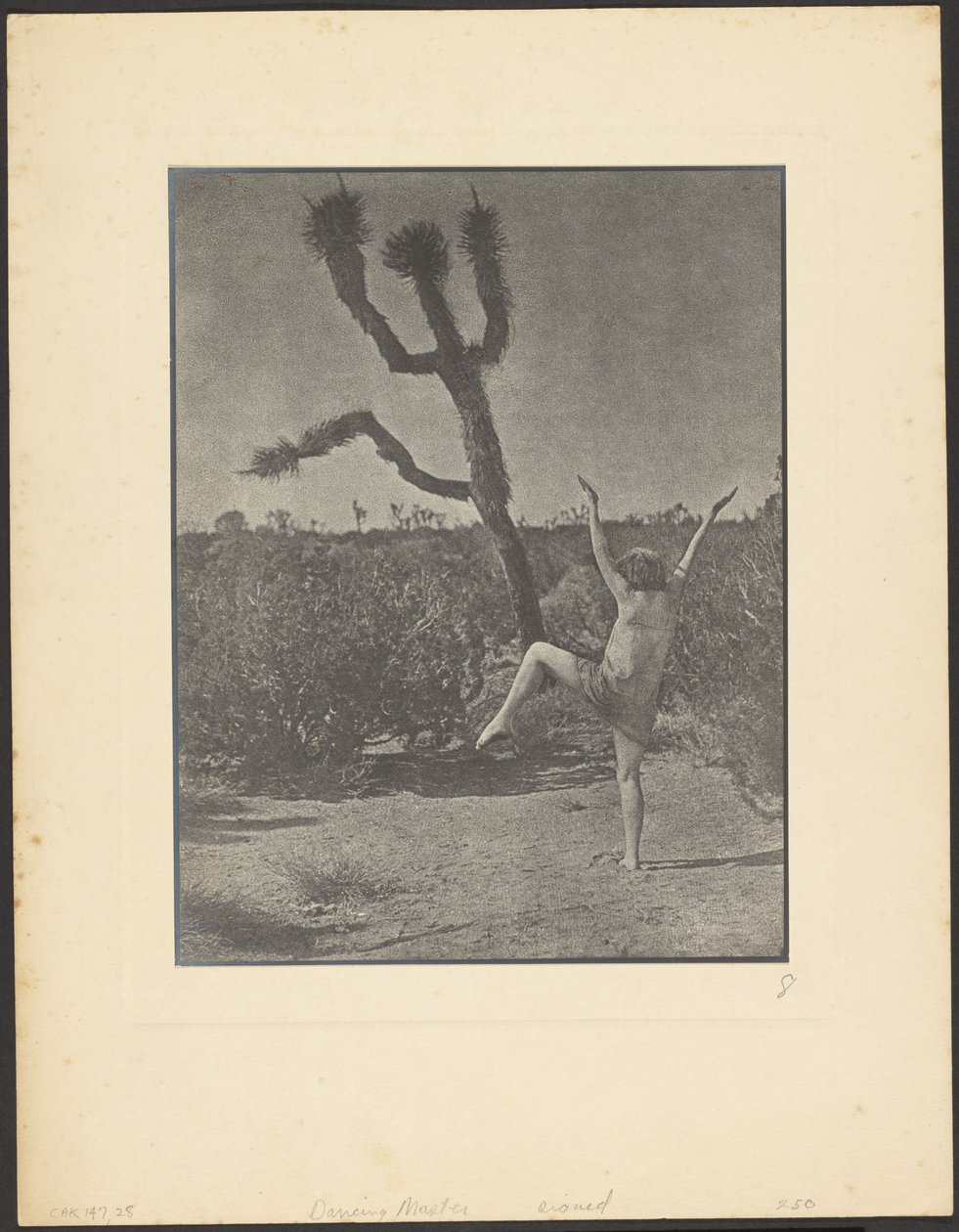 Maestro de baile de Louis Fleckenstein