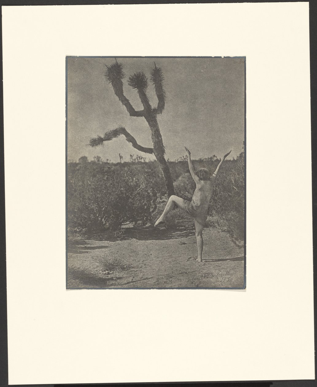 Maestro de baile de Louis Fleckenstein