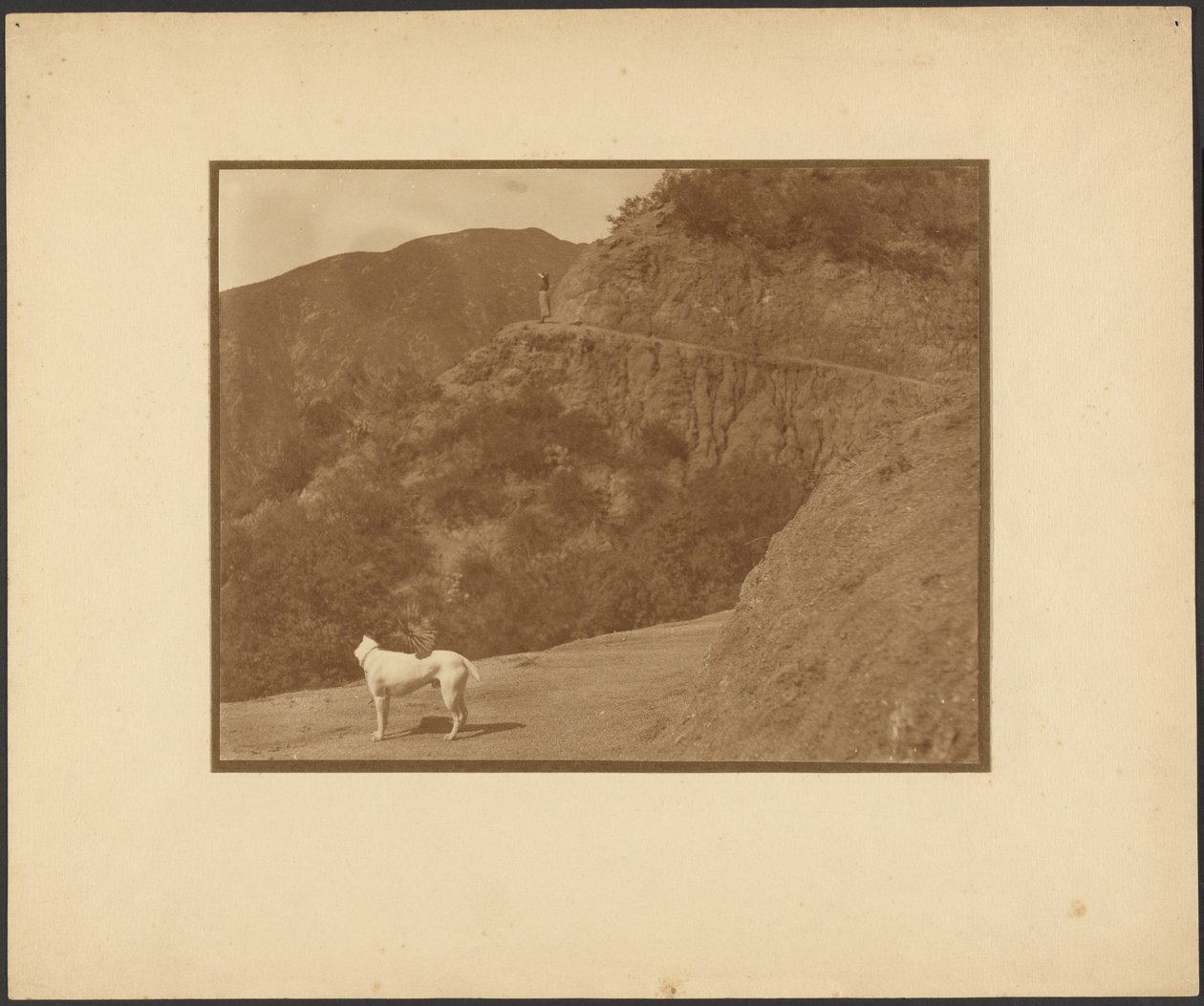 [Perro y mujer en un paisaje montañoso] de Louis Fleckenstein