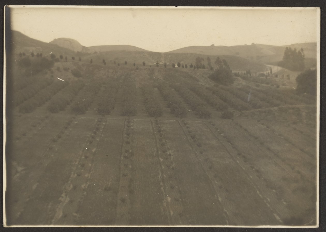 [Paisaje agrícola] de Louis Fleckenstein