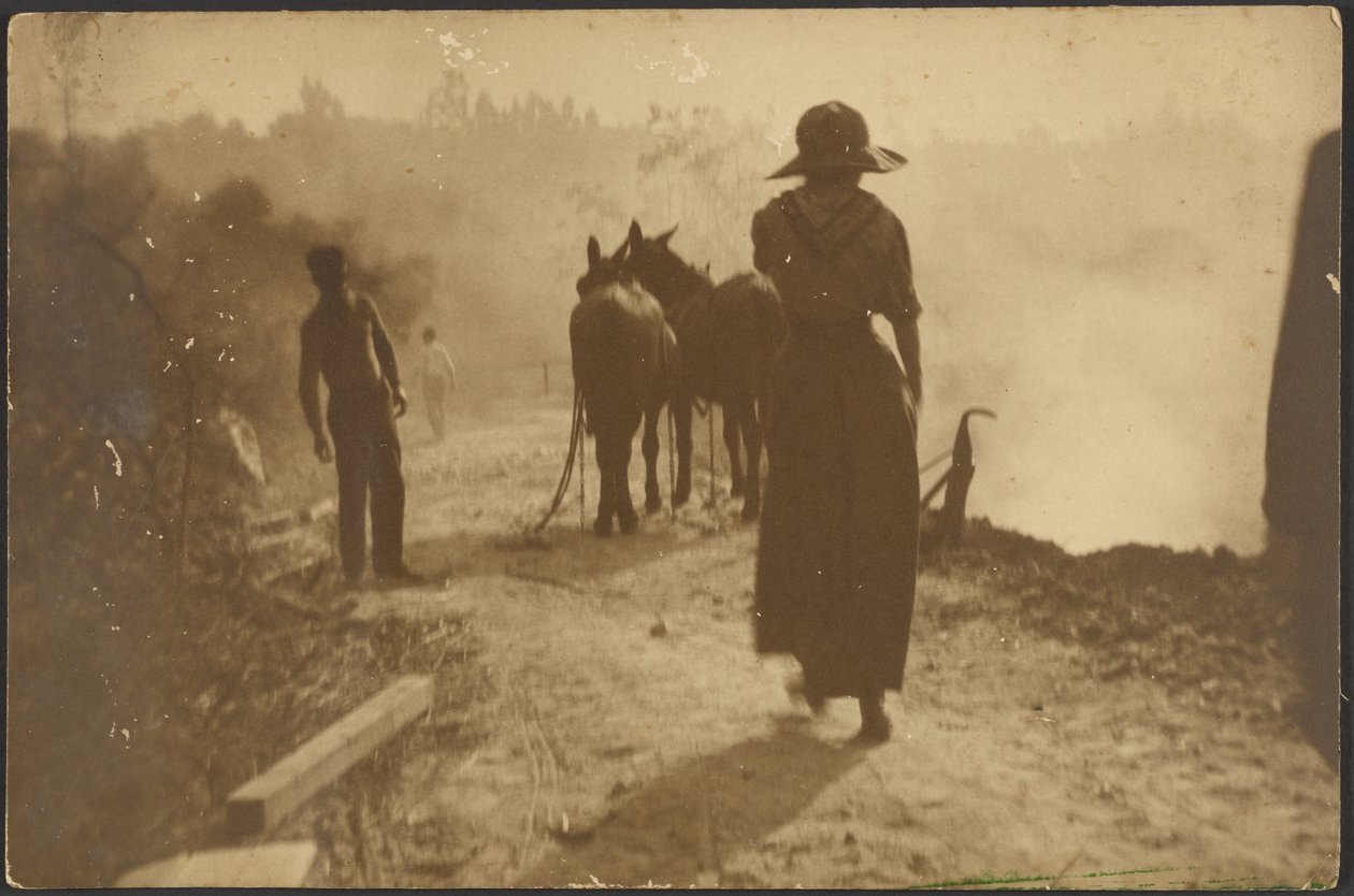 [Escena campestre con una mujer caminando hacia unos caballos] de Louis Fleckenstein