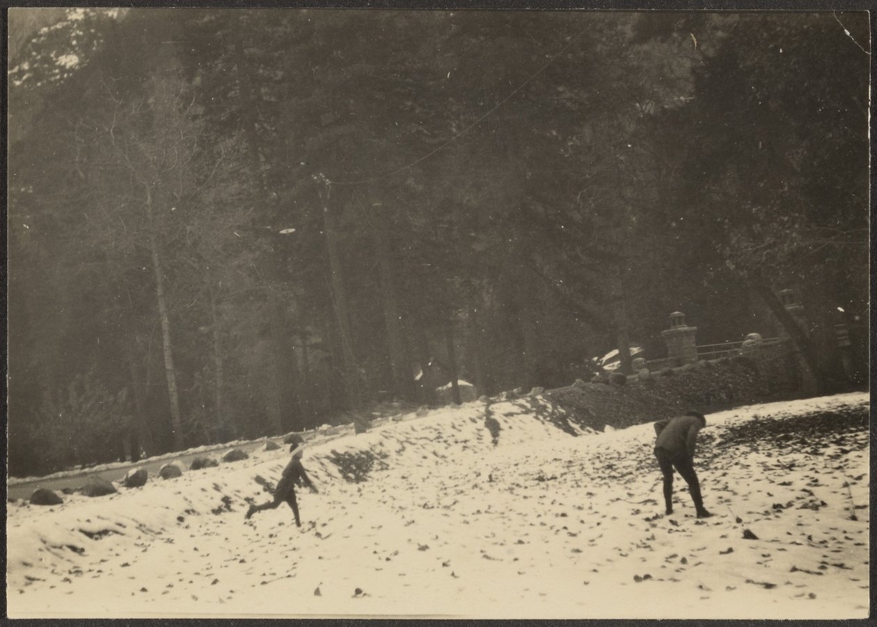 [Figuras en la nieve] de Louis Fleckenstein
