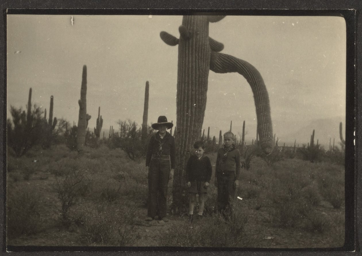 [Figuras con cactus] de Louis Fleckenstein