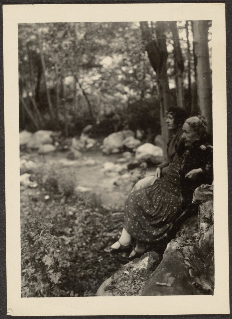 [Florence y la Sra. Fleckenstein por Forest Stream] de Louis Fleckenstein
