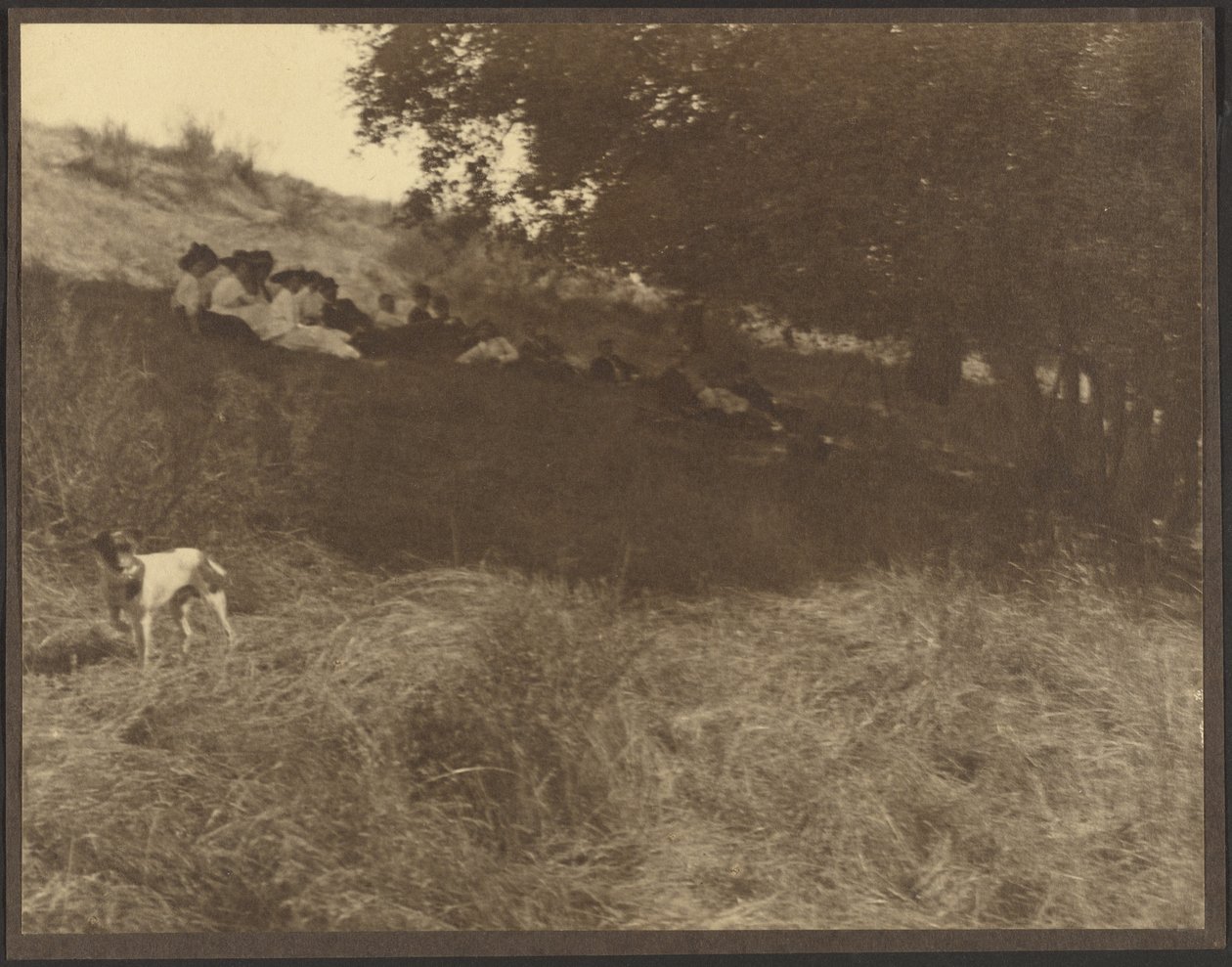 [Retrato de grupo descansando en el campo con un perro] de Louis Fleckenstein