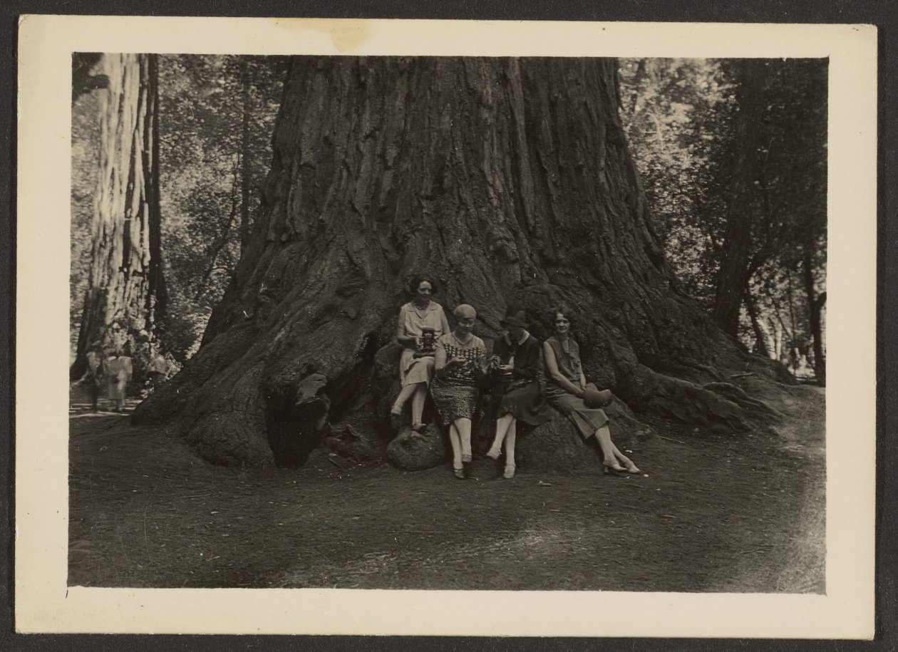 [Retrato de grupo al pie de un árbol] de Louis Fleckenstein