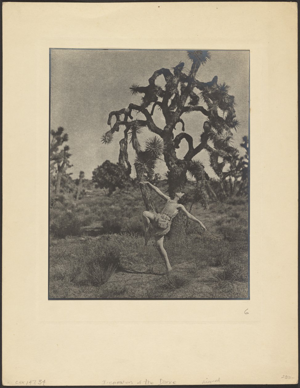 La inspiración de la danza de Louis Fleckenstein