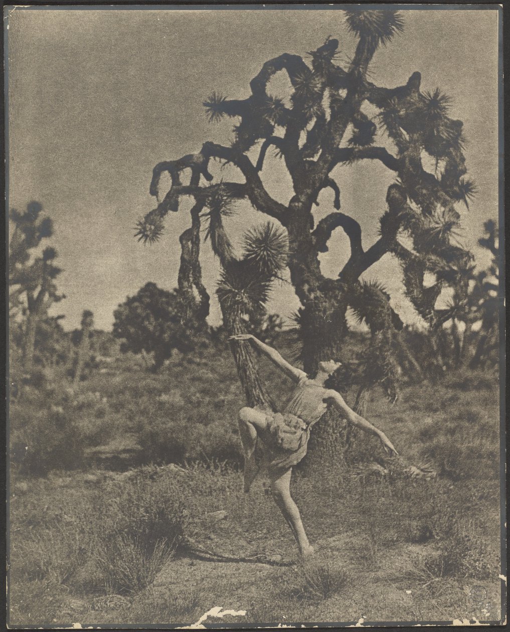 Inspiración de la danza de Louis Fleckenstein