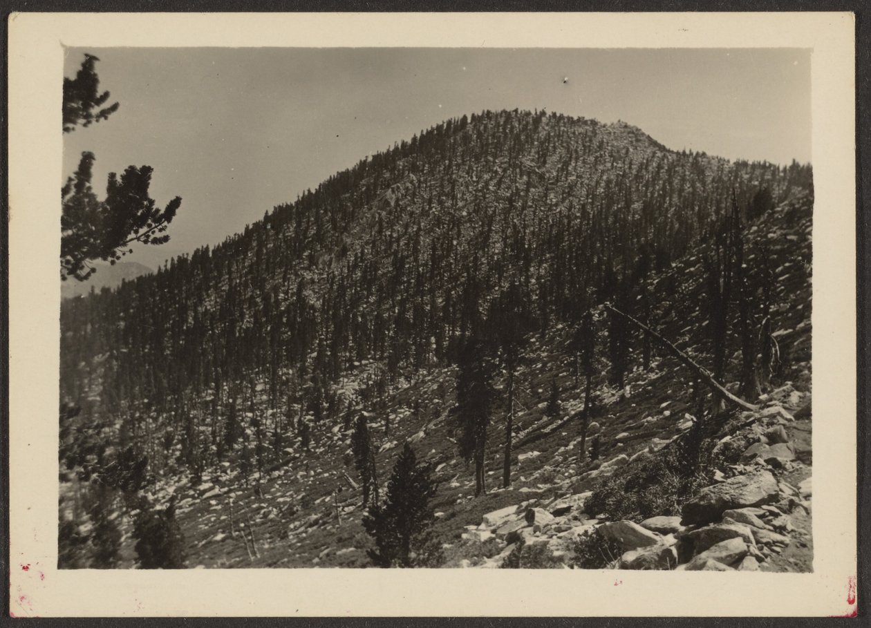 [Jean Peak de Trail] de Louis Fleckenstein