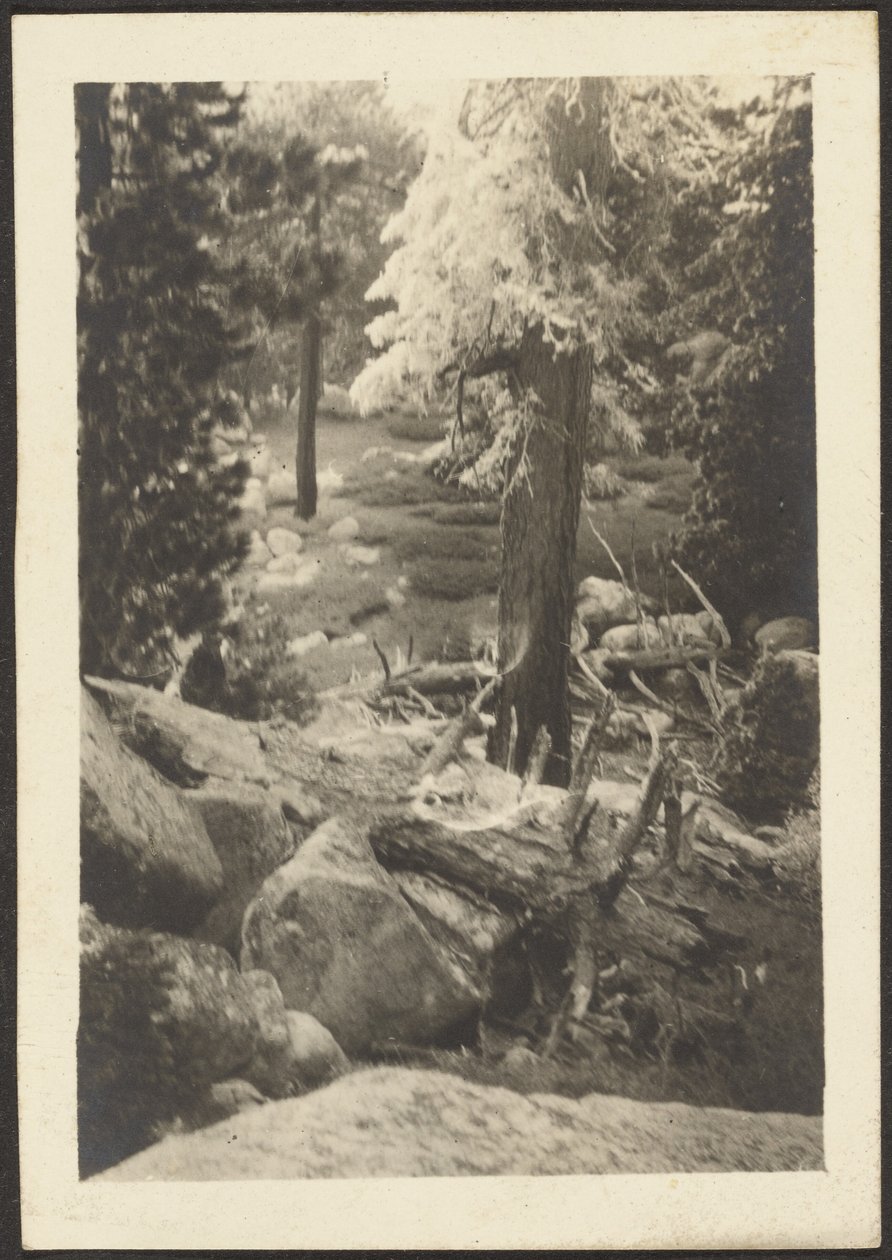 [Paisaje] de Louis Fleckenstein