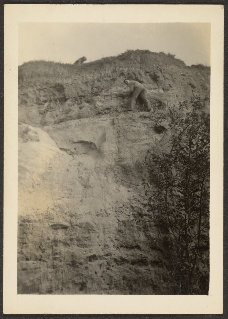 [Paisaje] de Louis Fleckenstein