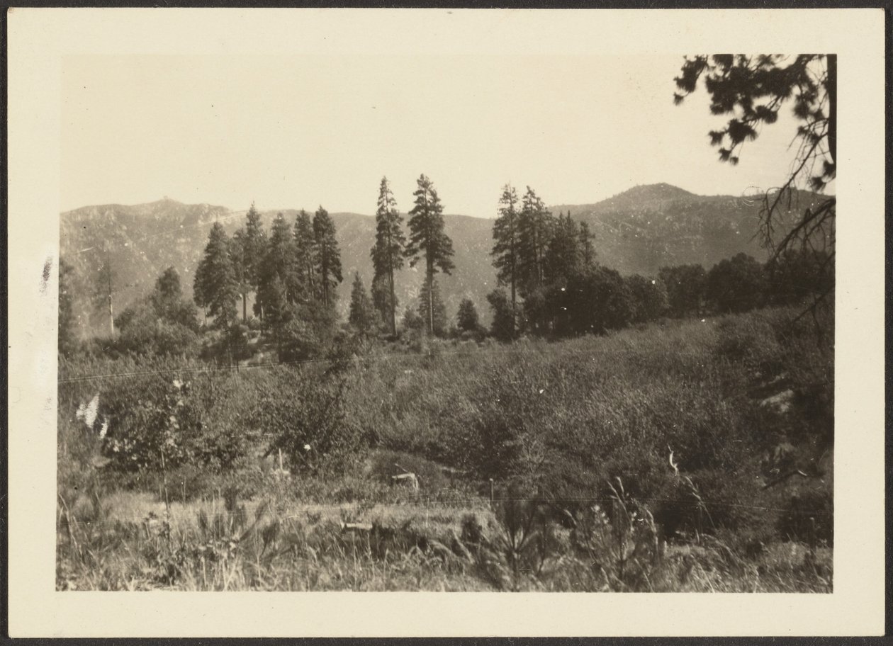 [Paisaje] de Louis Fleckenstein