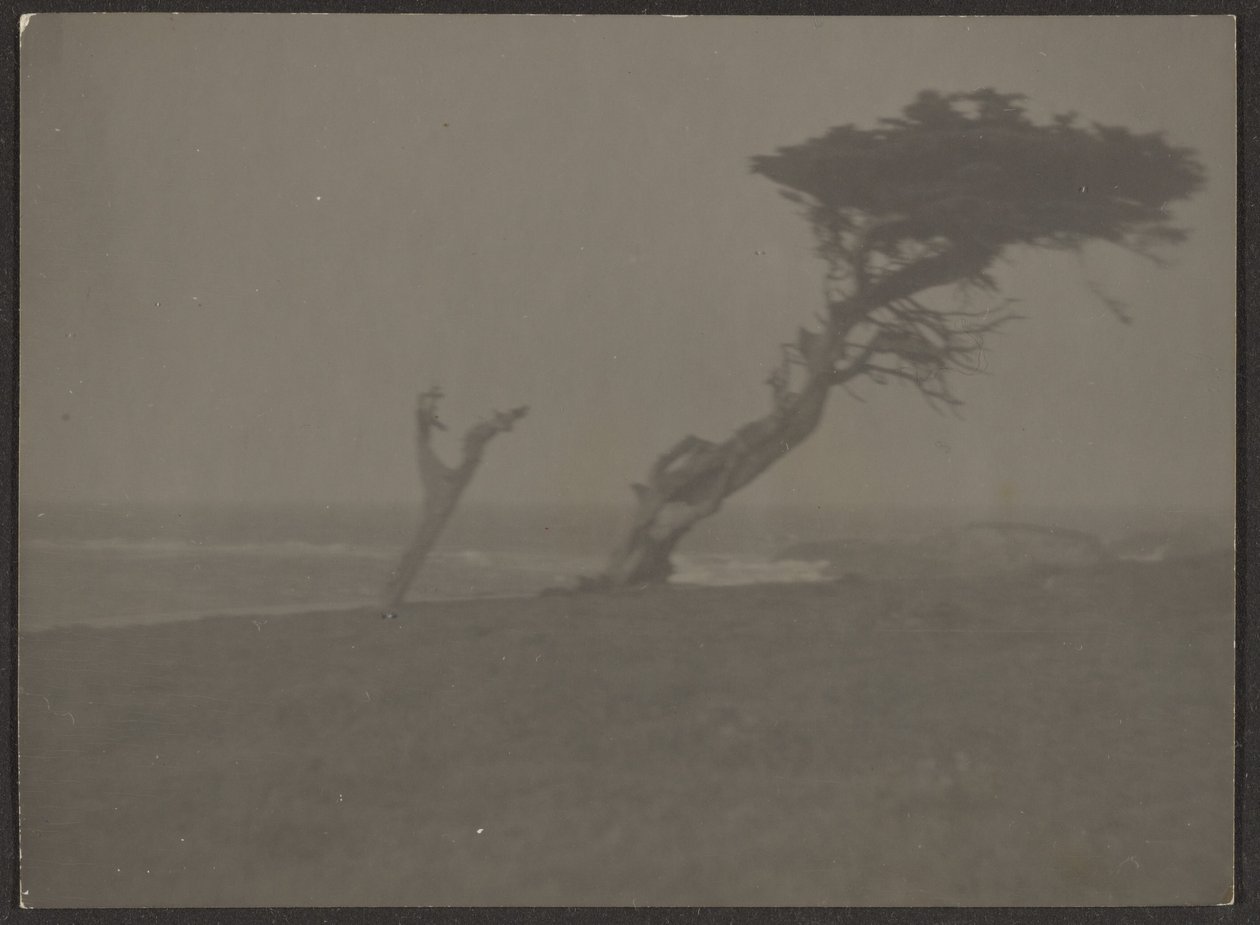 [Paisaje] de Louis Fleckenstein
