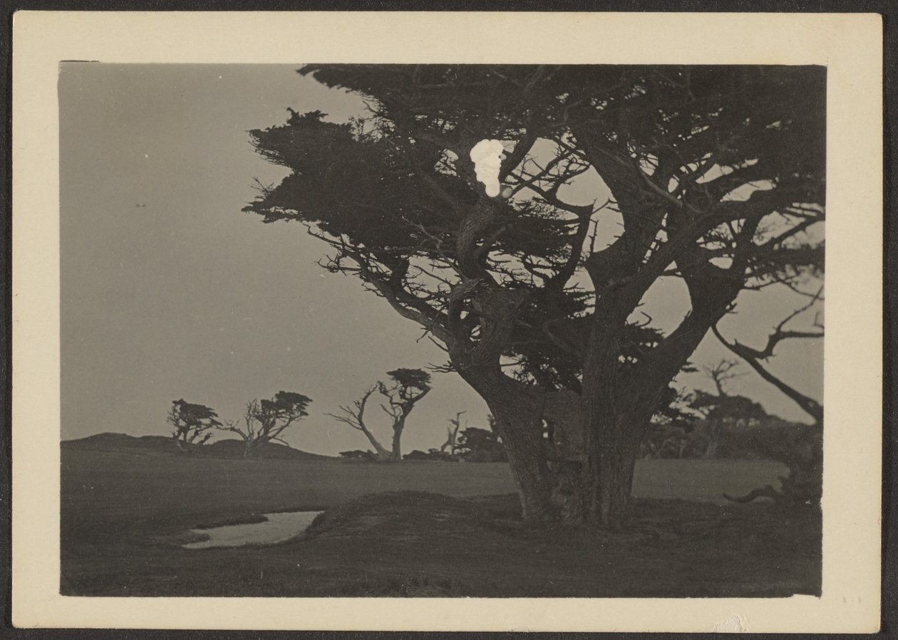 [Paisaje] de Louis Fleckenstein