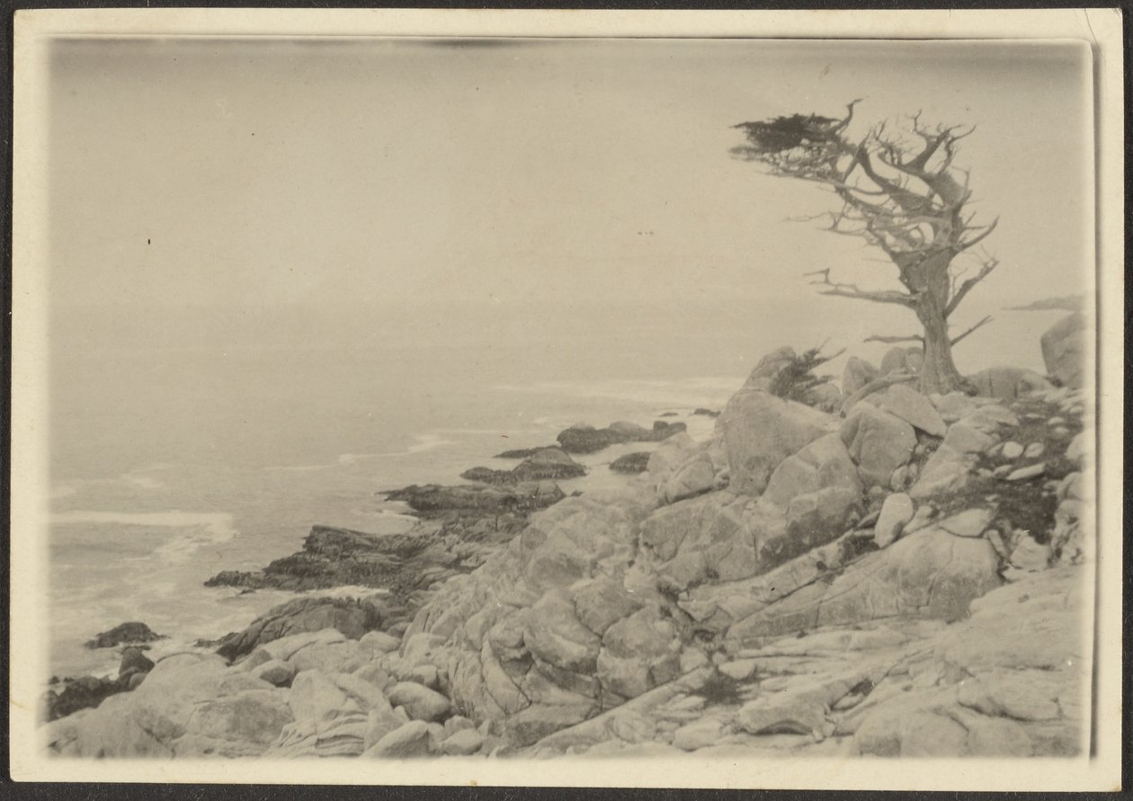 [Paisaje] de Louis Fleckenstein